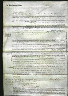 Court of Common Pleas - Martha Marter-Original Ancestry