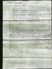 Court of Common Pleas - Mary Linfoot Boynton-Original Ancestry