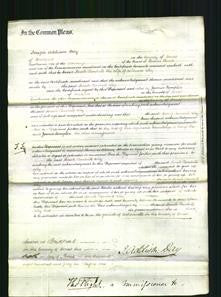 Court of Common Pleas - Sarah Rendall Way-Original Ancestry