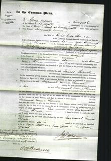 Court of Common Pleas - Susannah Emma Thomas-Original Ancestry