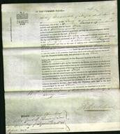 Court of Common Pleas - Phoebe Davis-Original Ancestry