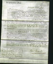 Court of Common Pleas - Anne Ford Mumford and Jane Goodyear-Original Ancestry