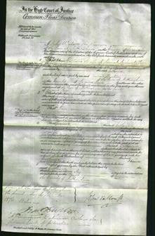 Court of Common Pleas - Catherine Shilton-Original Ancestry