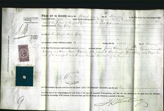 Court of Common Pleas - Eliza Risley-Original Ancestry