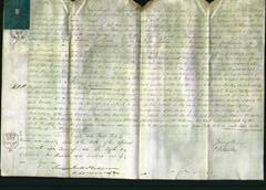 Court of Common Pleas - Dorothy Carr-Original Ancestry