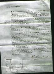 Court of Common Pleas - Anne Alkin Cowie and Jane Read Cowie-Original Ancestry