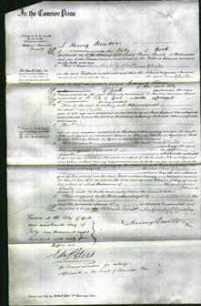 Court of Common Pleas - Ann Clarke-Original Ancestry
