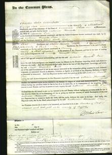 Court of Common Pleas - Catherine Harriette Price-Original Ancestry