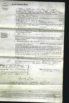 Court of Common Pleas - Ann Ward-Original Ancestry