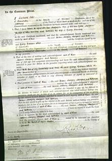 Court of Common Pleas - Salome Rowe, Margery Good, Margaret Venning, Catherine Venning-Original Ancestry