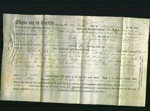 Deed by Married Women - Elizabeth Hutchin, Sarah Ann Clarke and Susan Cracknell-Original Ancestry