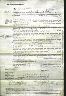 Court of Common Pleas - Emma Fry-Original Ancestry