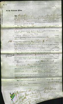 Court of Common Pleas - Mary Peacock-Original Ancestry