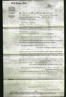 Court of Common Pleas - Louisa Gurney-Original Ancestry