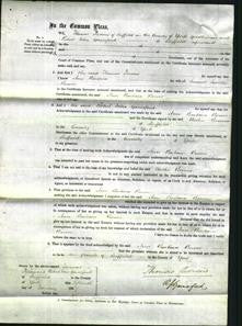 Court of Common Pleas - Ann Barbara Bower-Original Ancestry