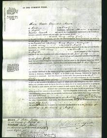 Court of Common Pleas - Jane Gooby-Original Ancestry