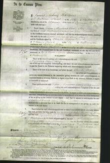 Court of Common Pleas - Mariana Emily Clay-Original Ancestry