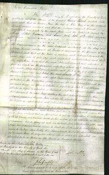 Court of Common Pleas - Anne Briggs-Original Ancestry