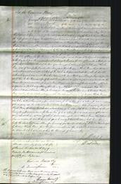 Court of Common Pleas - Phoebe Preese-Original Ancestry