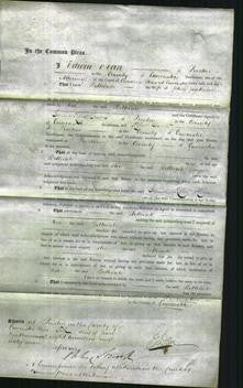 Court of Common Pleas - Bethiah Jackson-Original Ancestry