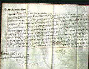 Court of Common Pleas - Elizabeth Holt-Original Ancestry