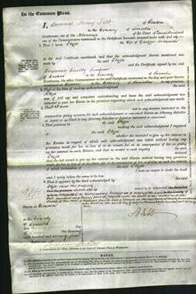 Court of Common Pleas - Eliza Simpson-Original Ancestry