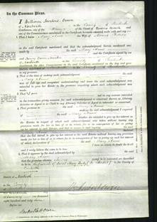 Court of Common Pleas - Mary Anne Phillips-Original Ancestry