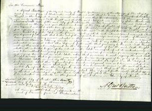 Court of Common Pleas - Edith Bright-Original Ancestry