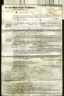 Court of Common Pleas - Grace Whitley-Original Ancestry