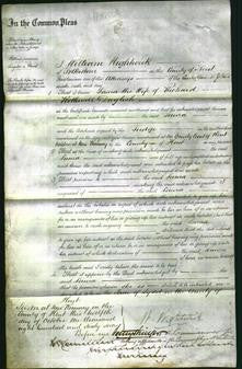 Court of Common Pleas - Laura Daglish-Original Ancestry