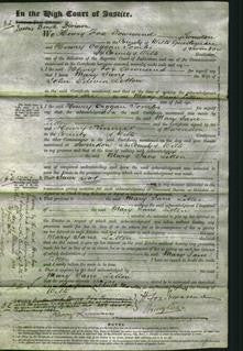 Court of Common Pleas - Mary Jane Litten-Original Ancestry