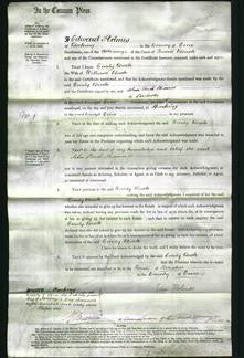 Court of Common Pleas - Emily Buck #2-Original Ancestry
