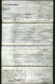Court of Common Pleas - Laura Daglish-Original Ancestry
