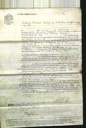 Court of Common Pleas - Ann Catherine Frances Tile-Original Ancestry