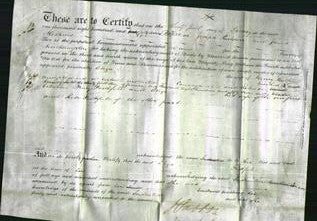 Deed by Married Women - Elizabeth Faithfull-Original Ancestry