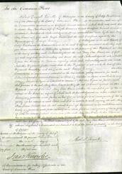 Court of Common Pleas - Mary Ann Evans-Original Ancestry