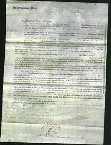 Court of Common Pleas - Sarah Spong-Original Ancestry