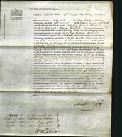 Court of Common Pleas - Comley Kemp Welch-Original Ancestry