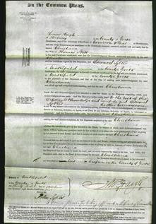 Court of Common Pleas - Christiana Scott-Original Ancestry