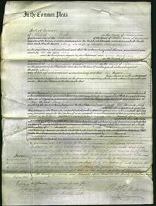 Court of Common Pleas - Mary Blandford-Original Ancestry