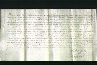 Court of Common Pleas - Mary Ann Mellin-Original Ancestry