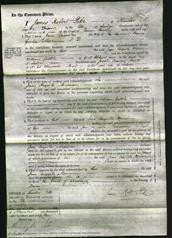 Court of Common Pleas - Jane Augusta Merriman-Original Ancestry