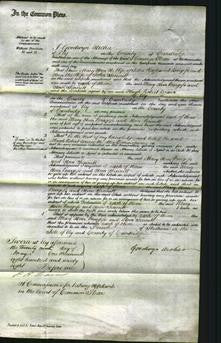 Court of Common Pleas - Mary Ann Burgess and Ann Sennitt-Original Ancestry