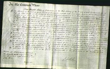 Court of Common Pleas - Elizabeth Smith-Original Ancestry