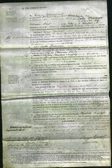 Court of Common Pleas - Elizabeth Countess De La Warr Baroness Buckhurst-Original Ancestry