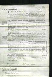 Court of Common Pleas - Jane Barron-Original Ancestry