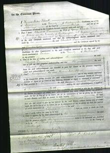 Court of Common Pleas - Elizabeth Downman-Original Ancestry