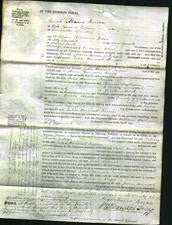 Court of Common Pleas - Julia Hannah Turner-Original Ancestry