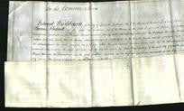 Court of Common Pleas - Margaret Lewis-Original Ancestry