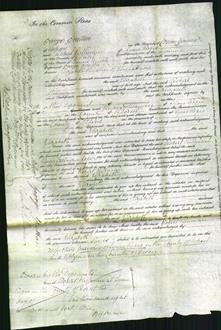 Court of Common Pleas - Elizabeth Snow-Original Ancestry